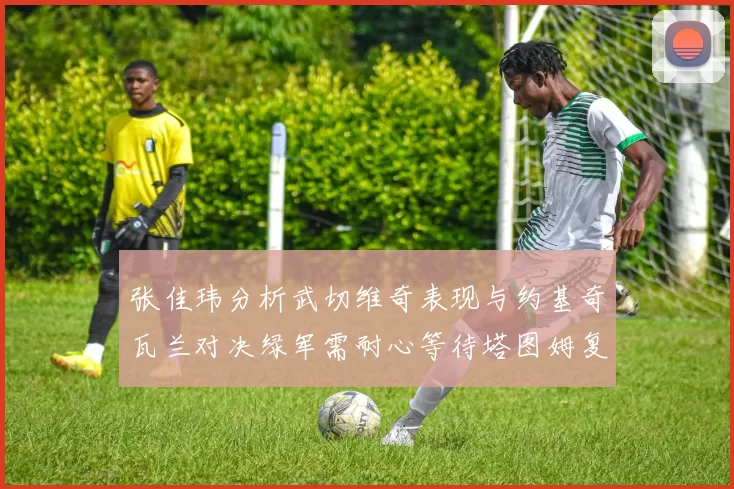 张佳玮分析武切维奇表现与约基奇瓦兰对决绿军需耐心等待塔图姆复出